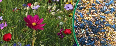 Saatgut & Biodünger für Gärten