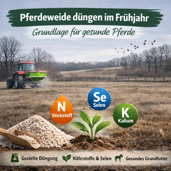 pferdeweide-duengen-fruehjahrxYi9EXiGC9TTQ