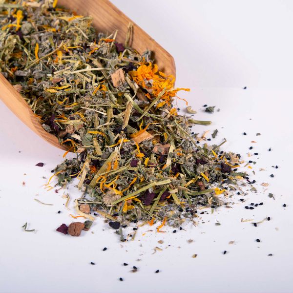 Winterkräuter für Pferde